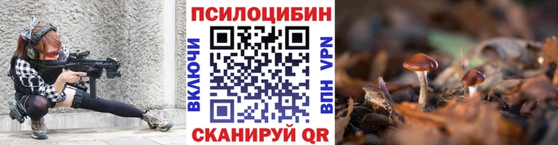 Галлюциногенные грибы Psilocybine cubensis  дарнет шоп  Жирновск 