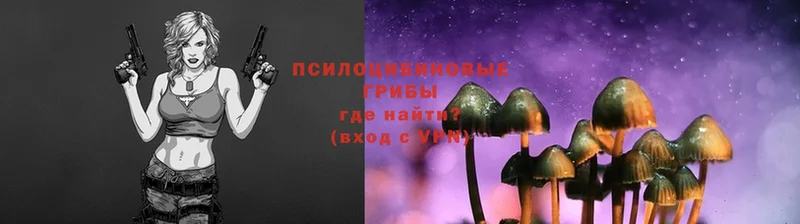 Галлюциногенные грибы Psilocybine cubensis  Жирновск 