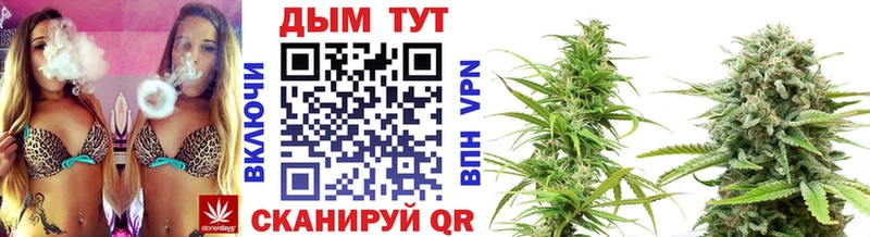 MEGA маркетплейс  Жирновск  Канабис сатива 